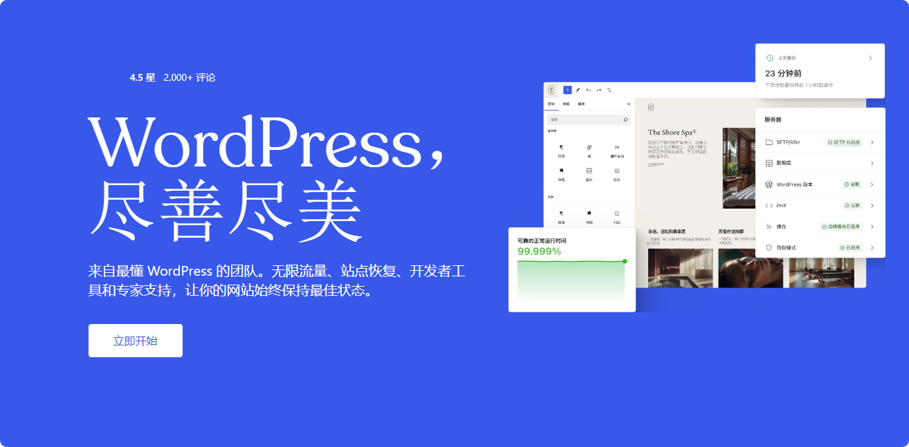 WordPress中文系统管理界面截图，清晰展示仪表盘、文章发布、外观主题管理及插件安装等功能模块
